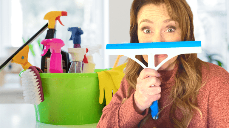 The Beginner’s Guide to the FlyLady Cleaning System
