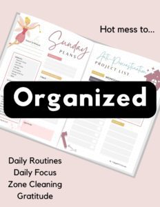 Organized Control Journal Inserts by Today with Terri K