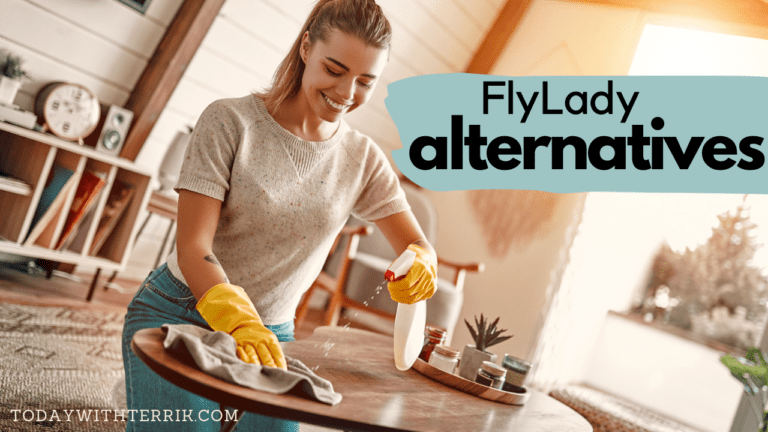 5 FlyLady Alternatives if FlyLady ISN’T For You