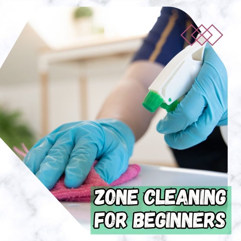 What is FlyLady Zone Cleaning?